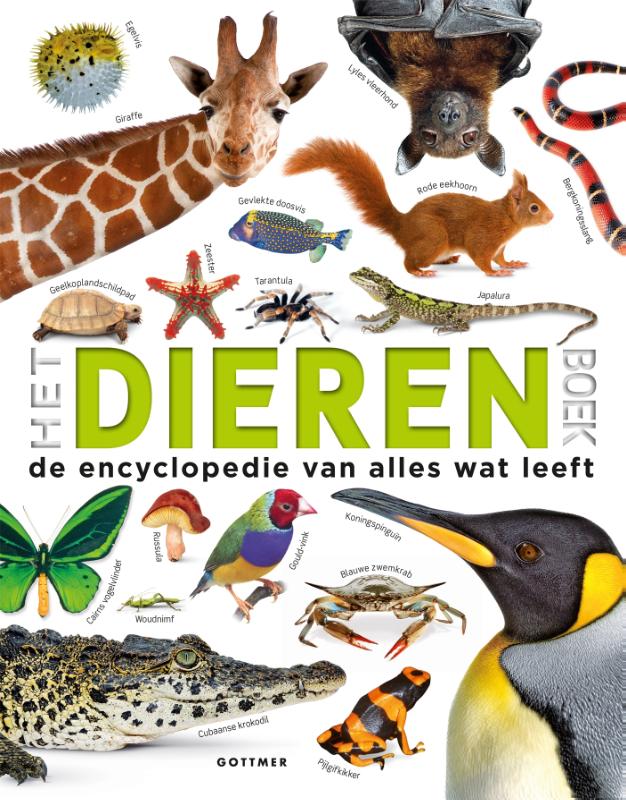 Het dierenboek (Hardback)