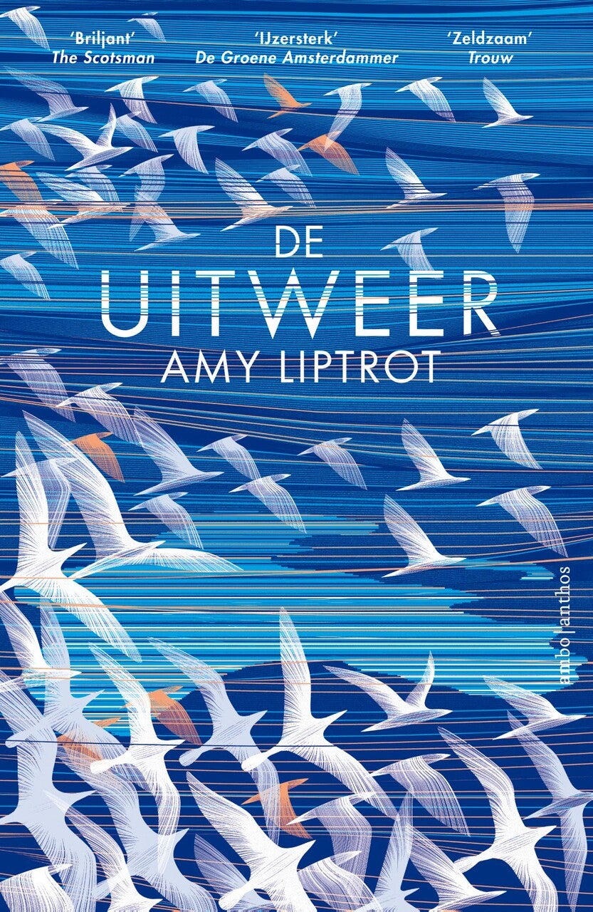 De uitweer (Paperback)