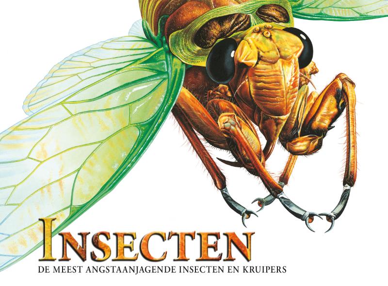 Insecten - Meest angstaanjagende (Hardback)
