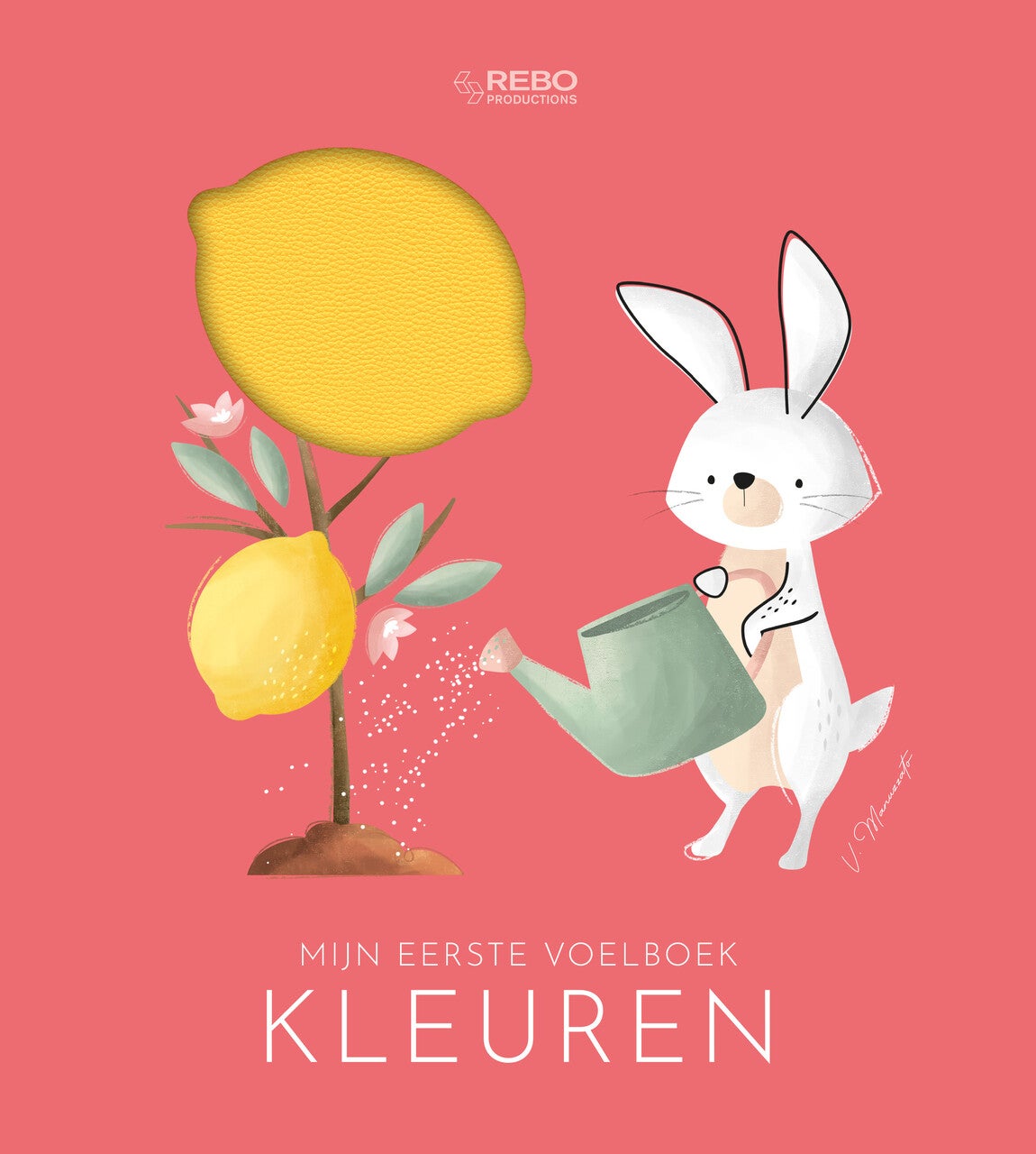 Kleuren - Mijn eerste voelboek (Kartonboek)