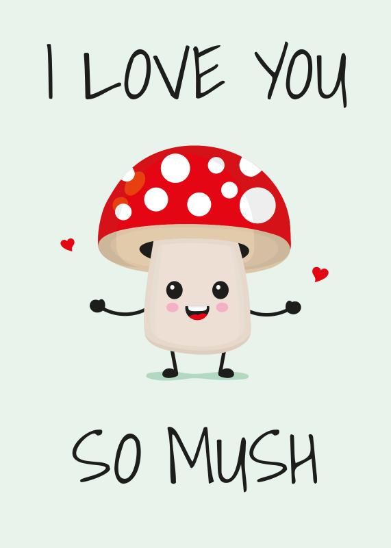 I love you so mush (Hardback)