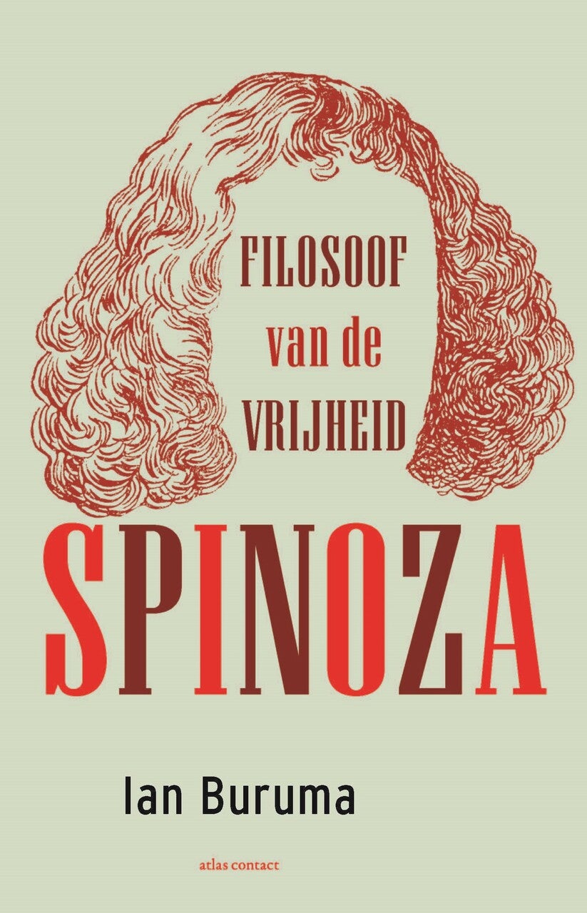 Spinoza (Paperback)