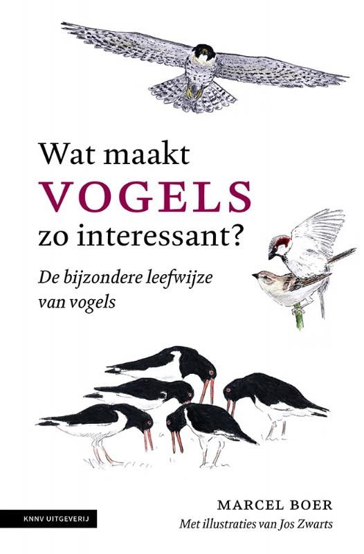 Wat maakt vogels zo interessant (Paperback)