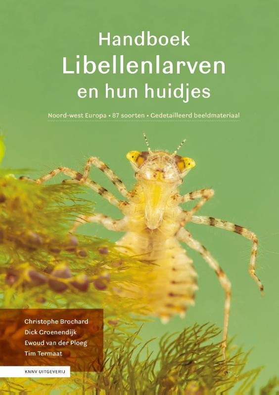 Libellenlarven en hun huidjes (Hardback)