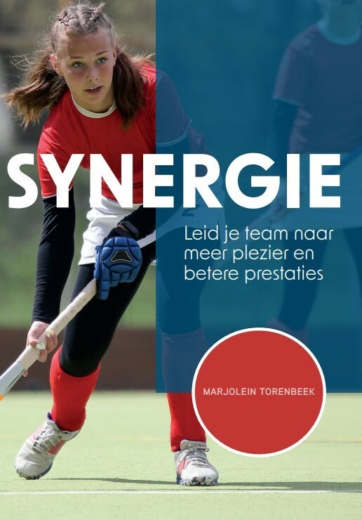 Synergie (Paperback)