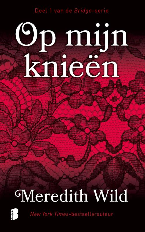 Op mijn knieën (Paperback)