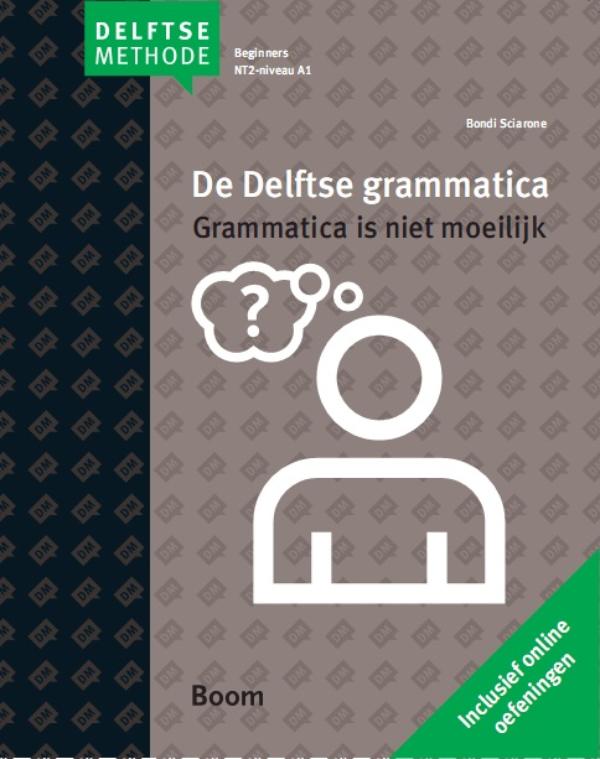 De Delftse grammatica (Paperback)