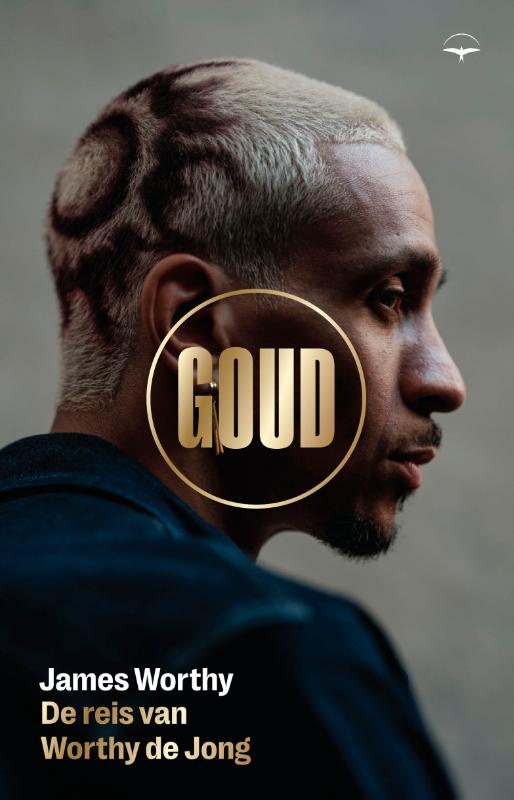 Goud (Paperback)