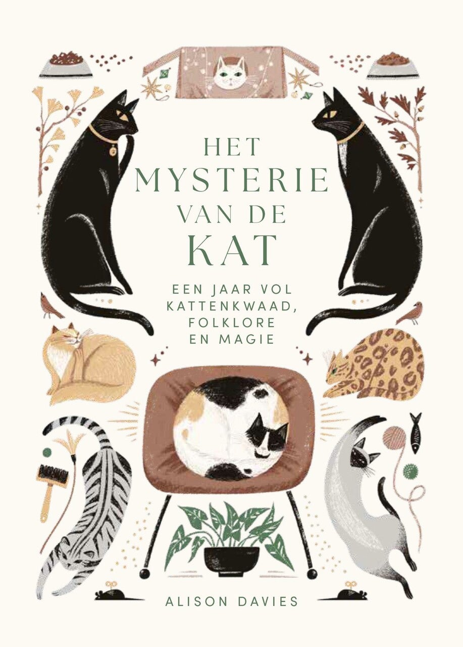 Het mysterie van de kat (Hardback)