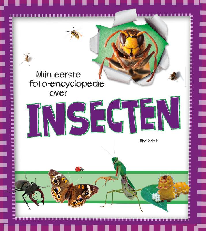 Insecten (Hardback)