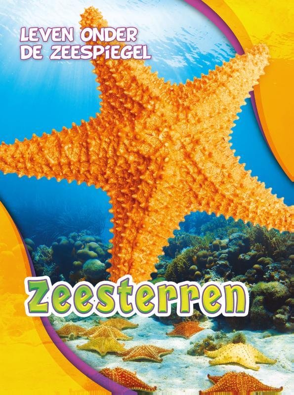 Zeesterren (Hardback)