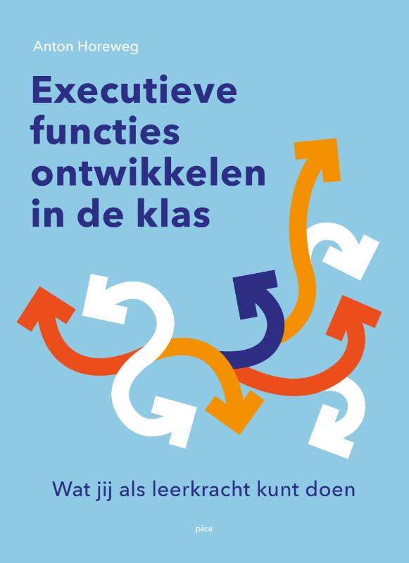 Executieve functies ontwikkelen in de klas (Paperback)